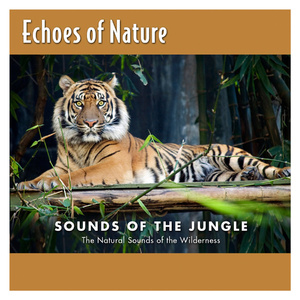 扒开你粉嫩的屎眼
